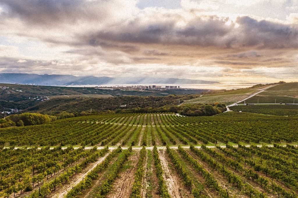 23 ноября бесплатный поход для наших покупателей,«По красивым местам края» район Новороссийска.