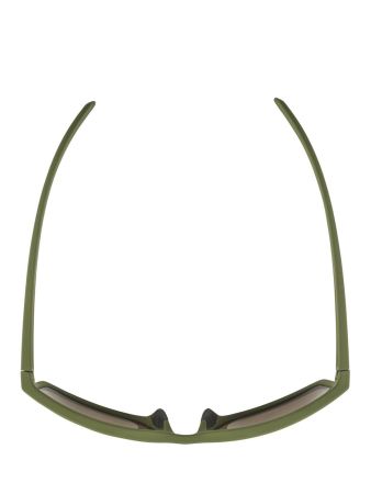 Купить Очки Alpina Nacan I Olive Matt/Bronce Mirror Cat.3 в Волгограде