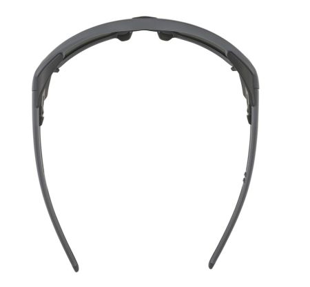 Купить Очки Alpina Skywalsh Q Midnight-Grey Matt/Blue Mirror Cat.4 Fogstop в Волгограде