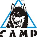 Кошки CAMP в Волгограде