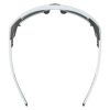 Купить Очки Alpina Skywalsh Q Smoke-Grey Matt/Green Mirror Cat.4 Fogstop в Волгограде