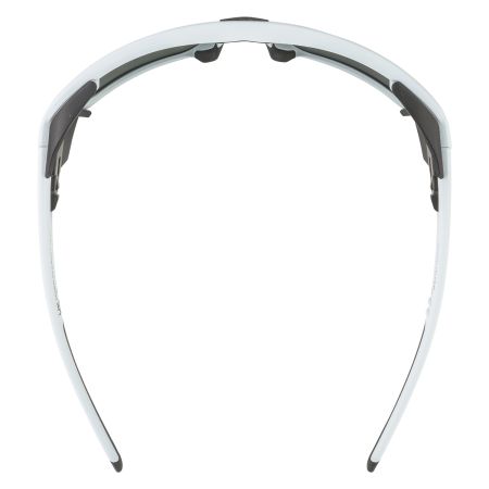 Купить Очки Alpina Skywalsh Q Smoke-Grey Matt/Green Mirror Cat.4 Fogstop в Волгограде