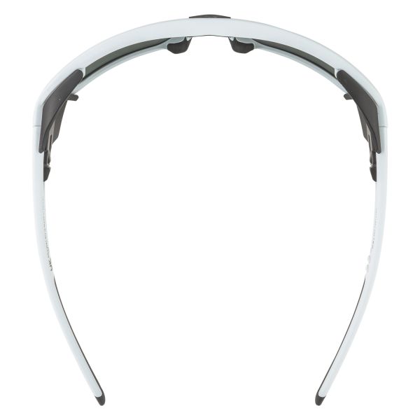 Купить очки alpina skywalsh q smoke-grey matt/green mirror cat.4 fogstop в Волгограде