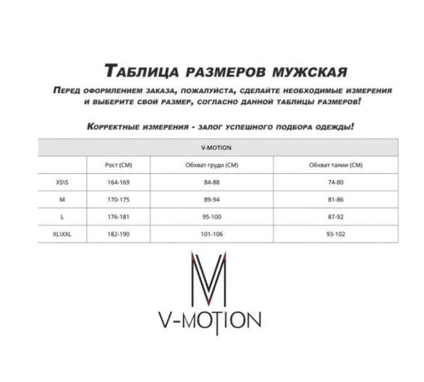 Термобельё V-MOTION Base мужской серебристый в Волгограде